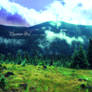 Mountain Bliss