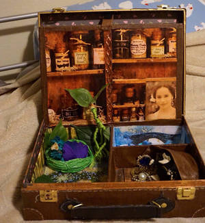 Newt Scamander's Suitcase Playset