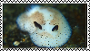 sea bunny stamp