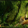Miranda and the Tiger's Eye