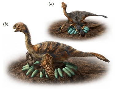 Reconstruction of oviraptorid clutches illuminates