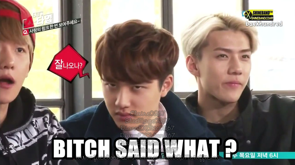 EXO D.O. B*TCH SAID WHAT ? @DiannEXOstan267