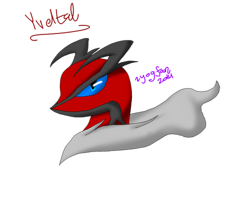 Yveltal Headshot