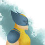 Wolverine Splash