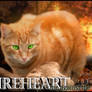 Fireheart:Me against the world
