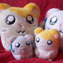 Hamtaro Family