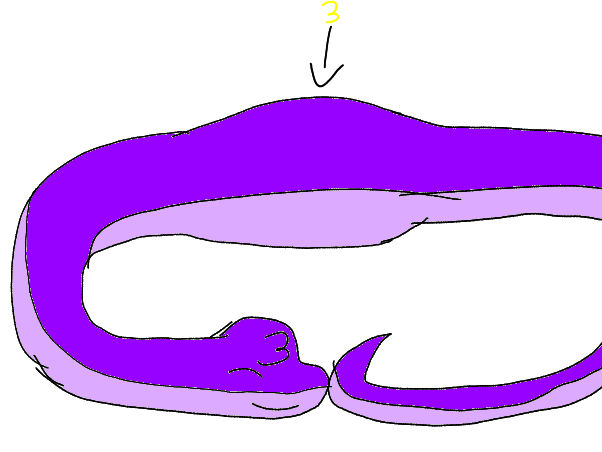 A snake ate 3. Damit. by KingSusiePen24 on DeviantArt