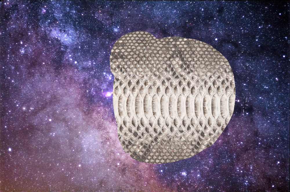 Python Full Moon Python eats Earth (and the moon?) by KingSusiePen24 on DeviantArt