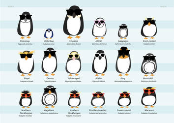 All the penguins of the world