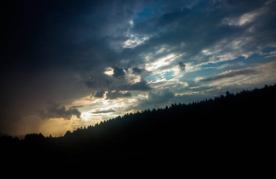 Trees and Clouds