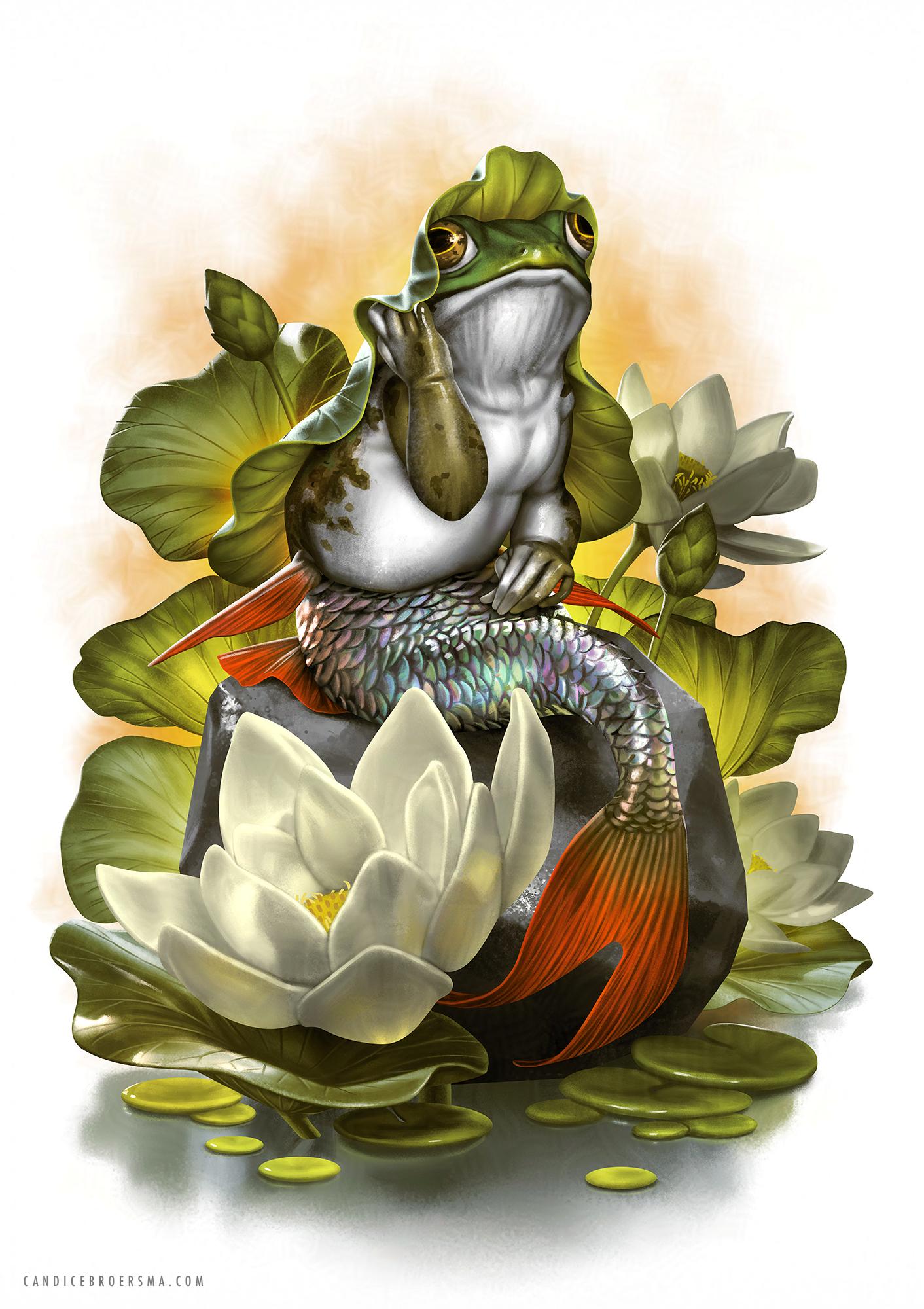 Merfrog Frog Mermaid by Broersma on DeviantArt