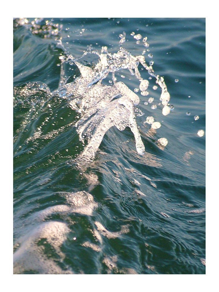 Splash