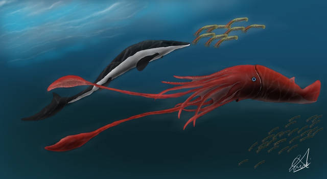 Western Interior Seaway The Marine Life Of Kansas By