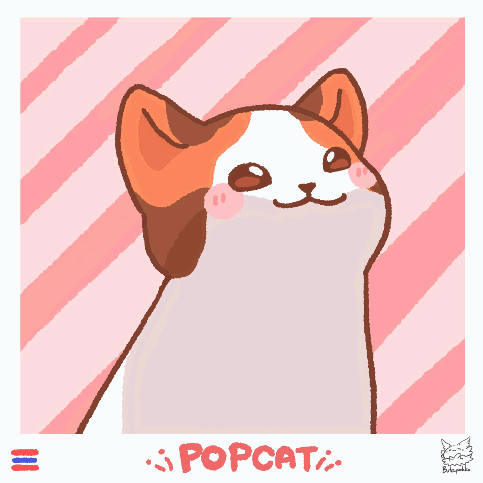 What is pop cat