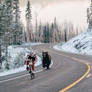 Biker Vs Bear