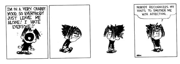 Sasuke and Hobbes