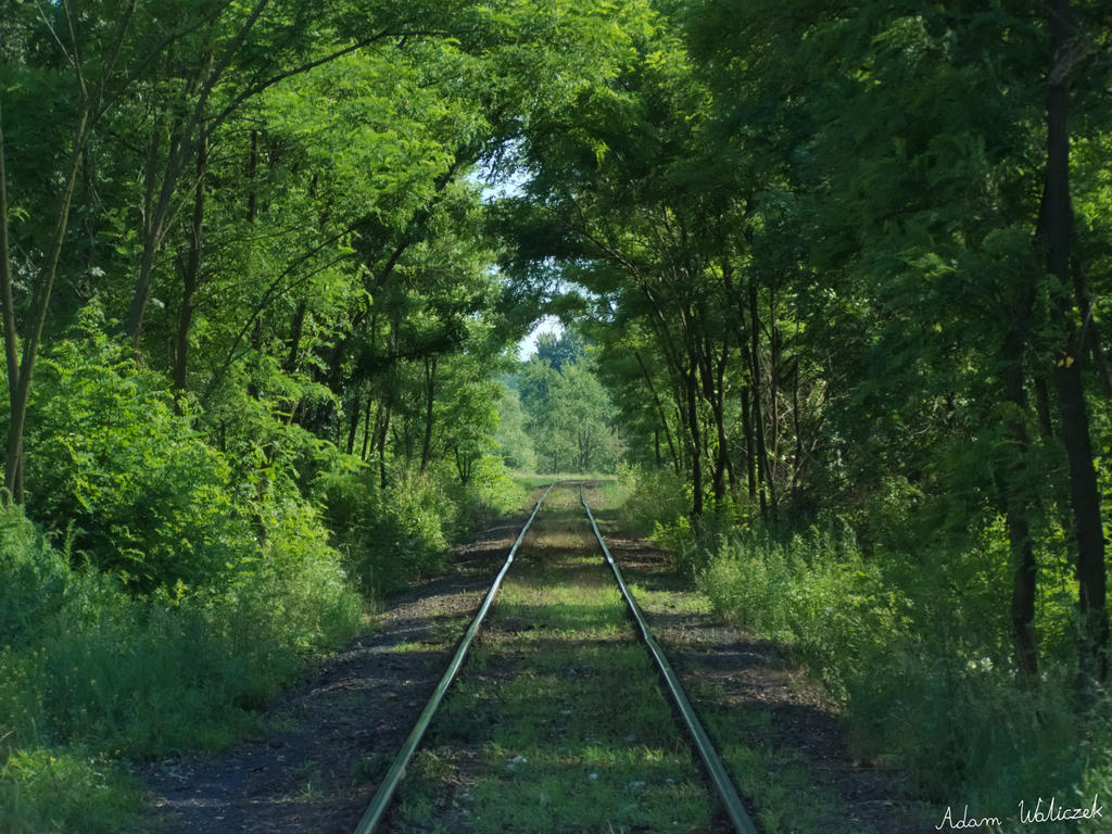 Natural tunnel