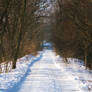 Road in winter