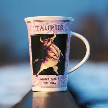 Taurus by MisterMistrz
