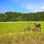 Nature and bike