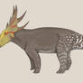 Burmaceratops dispar