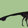Mesaraptor acrignathus