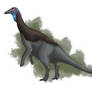 Tanasaurus lentus