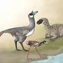 Theropods of Etadunna