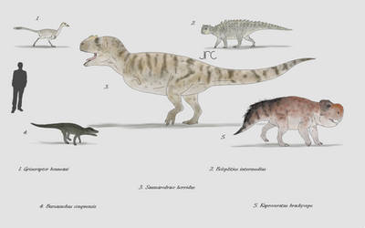 Early Miocene Fauna of Pontigne, France