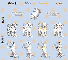 Squiby: Dalmatians Spoilers