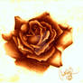 Blooming Sepia Rose