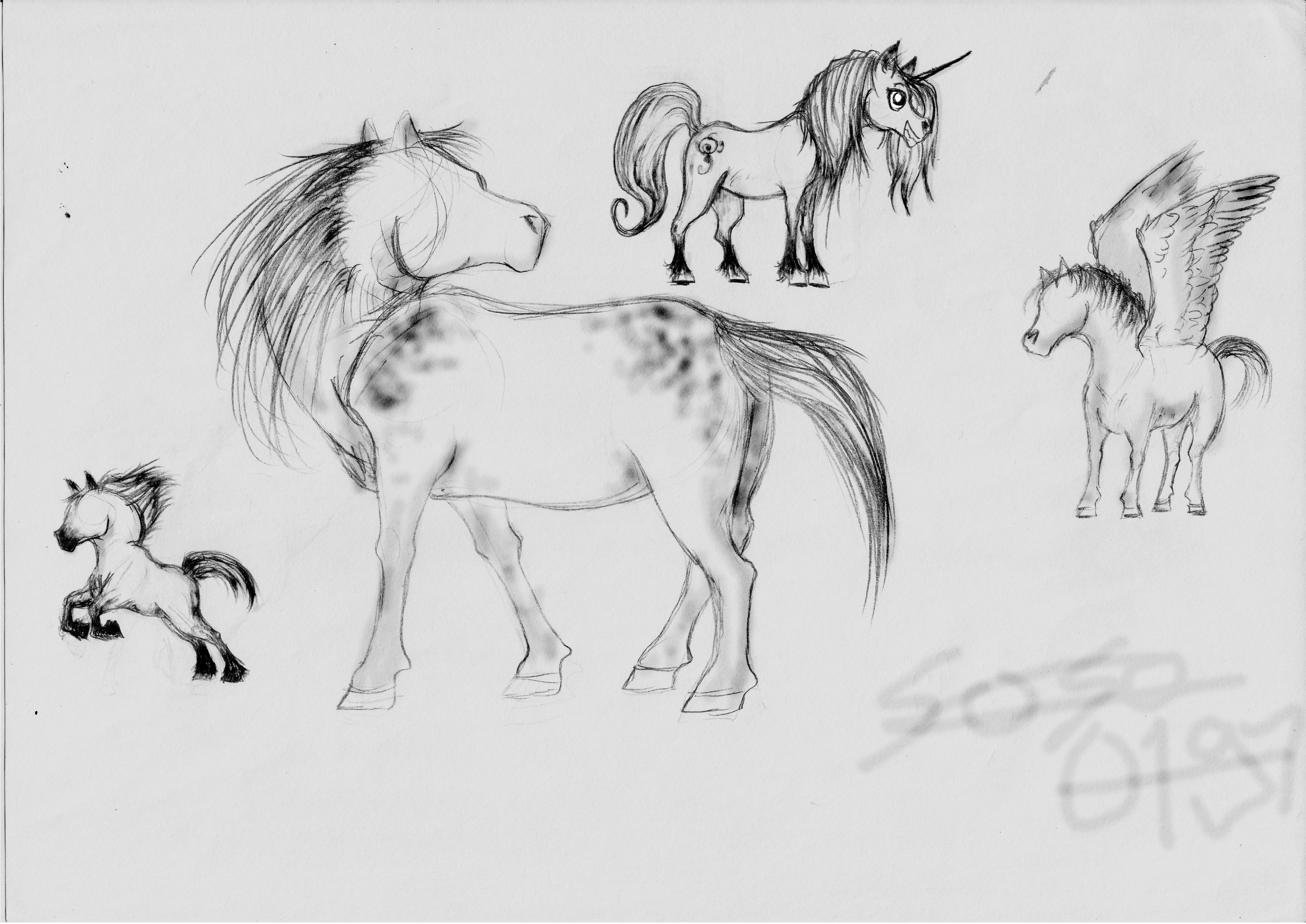 Horse Practice - Different styles