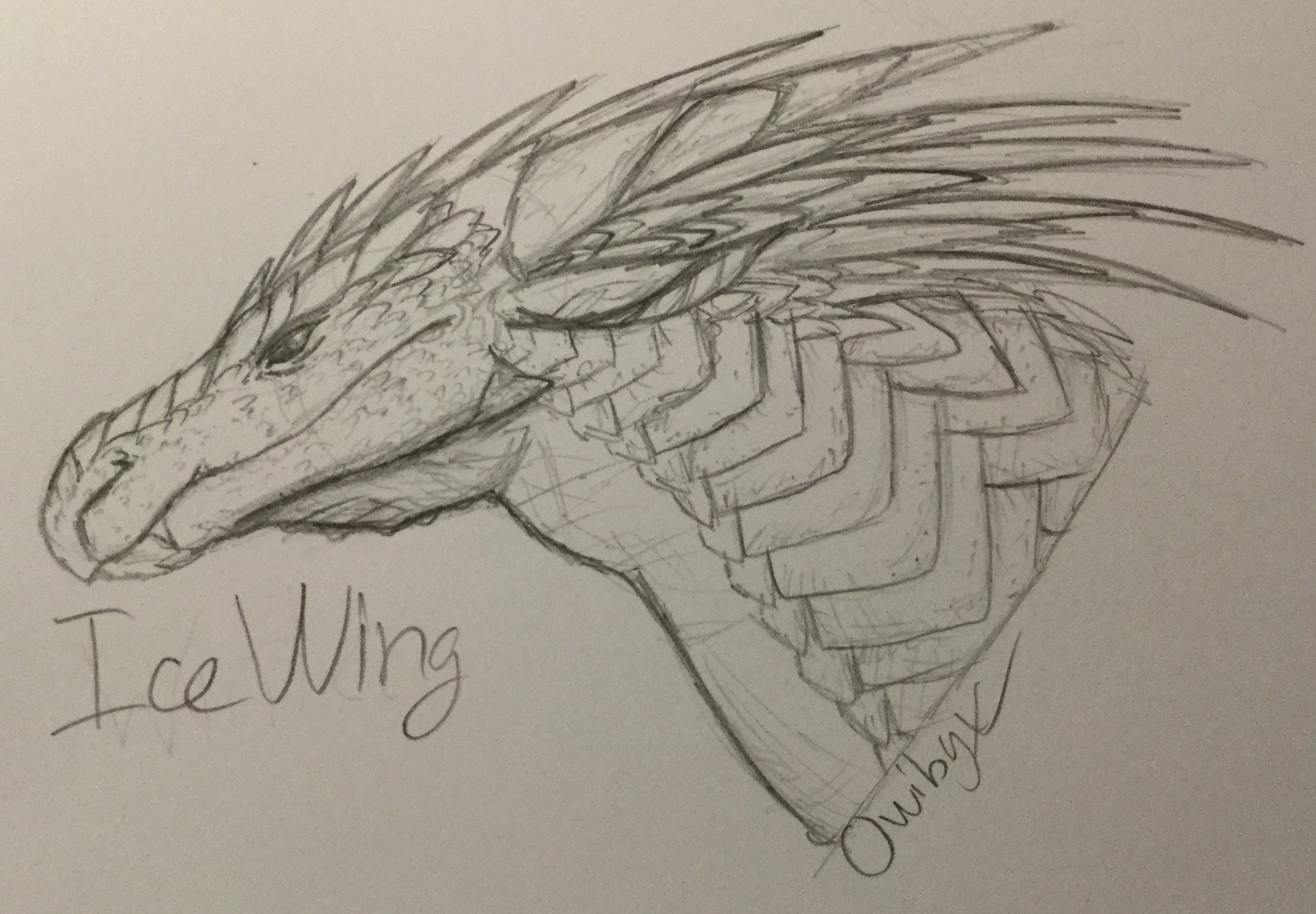 Wings Of Fire Icewing