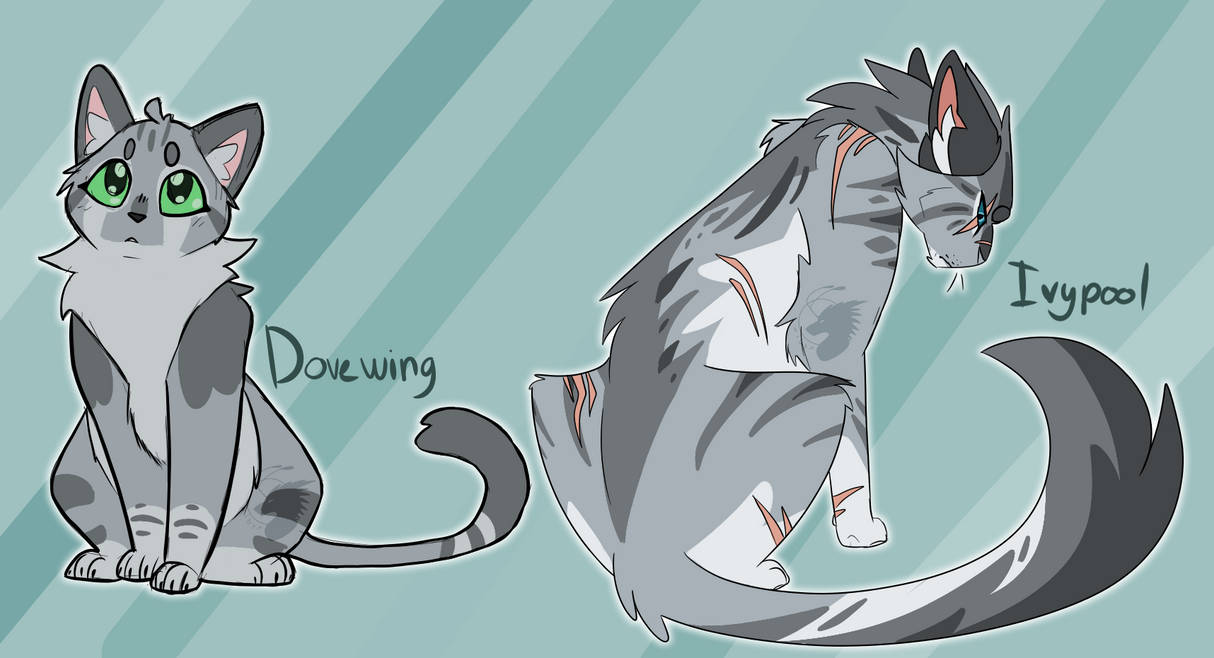 Dovewing And Ivypool Warrior Cats By Owibyx On Deviantart Dovewing And Ivypool Warrior Cats By Owibyx On Deviantart
