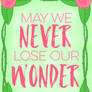 May we NEVER lose our WONDER