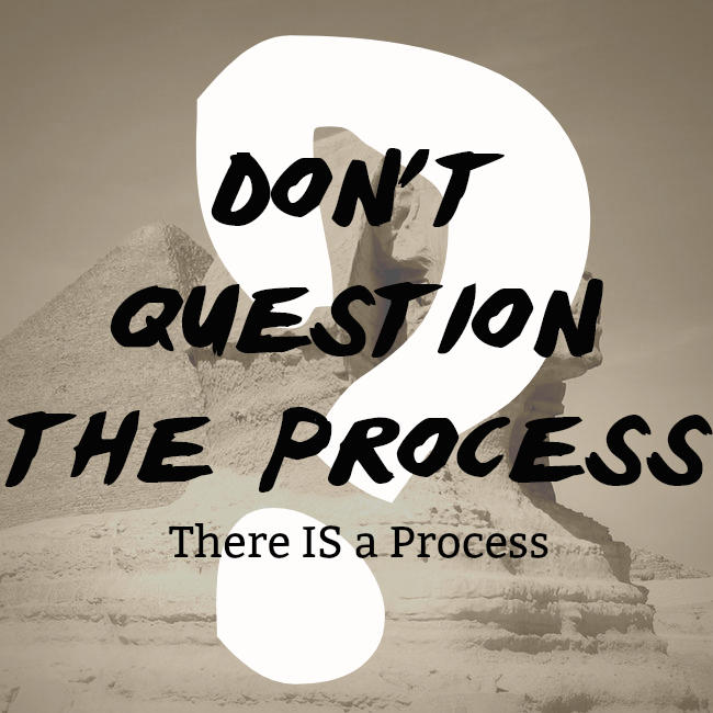 Question The Process Don't Question the Process pt1 by 1234RoseSmith on DeviantArt
