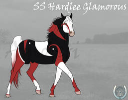 SS Hardlee Glamorous