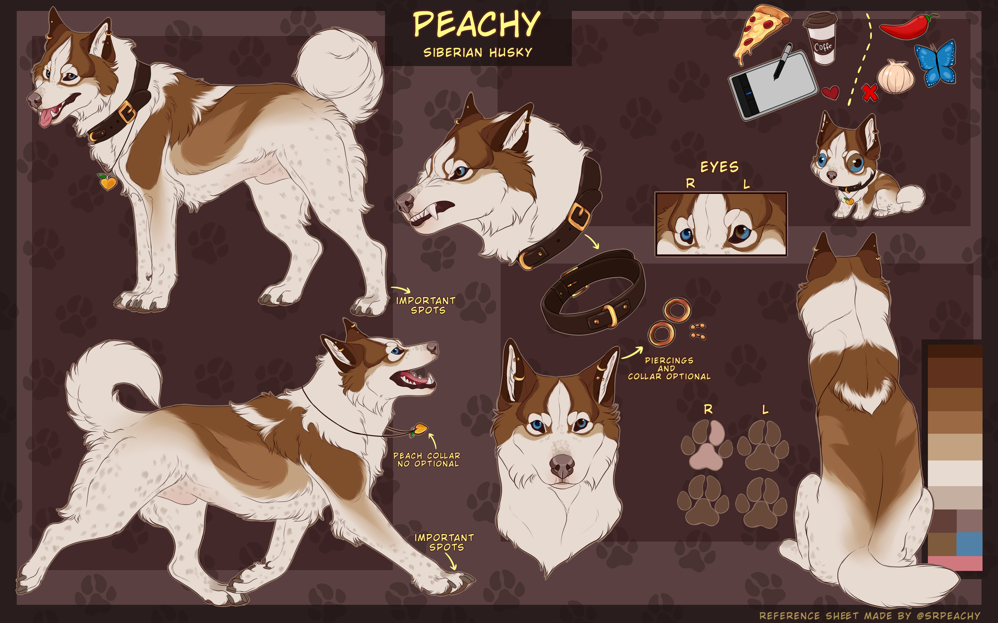 SR Siberian Husky - Empire by Sumac-Ridge on DeviantArt