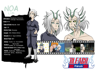 Bleach OC Profile: Noa by Smokelesseyes on DeviantArt