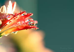 Finding Peace by anniejo82 Finding Peace by anniejo82