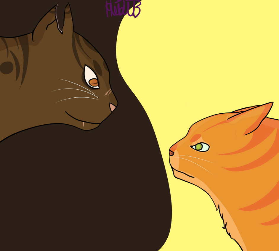TigerStar And Firestar By BashyLeaf On DeviantArt tigerstar-and-firestar-by-bashyleaf-on-deviantart