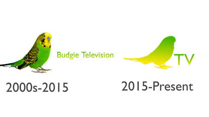 Budgie Television Logo History (fake)