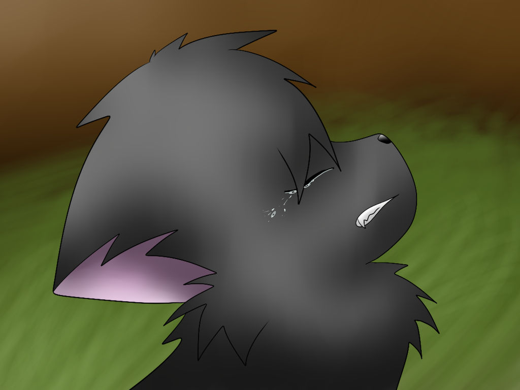 Cinderpelt's Sorrow