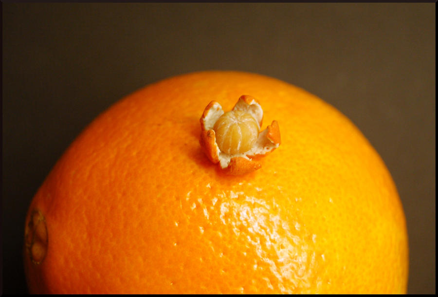 All orange by MiniatureChef