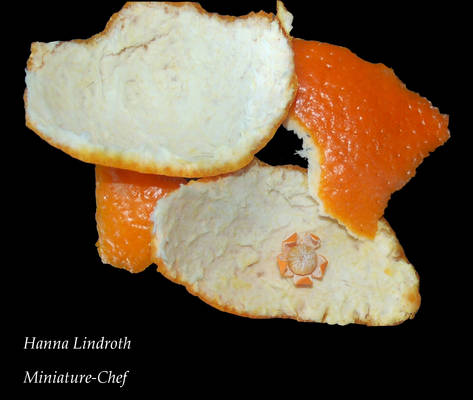 Mandarin on Mandarin Peel