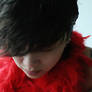 red feathers b