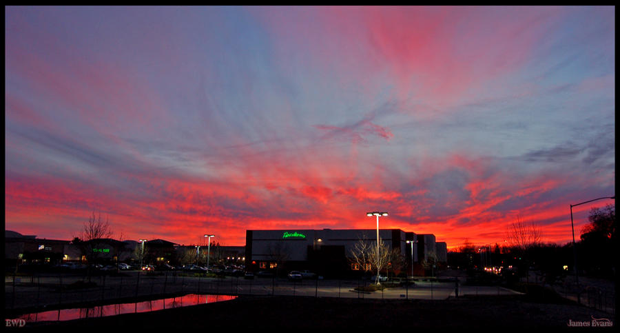 Under a Blood Red Sky