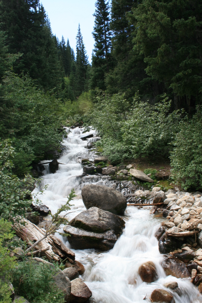 Mountain Stream