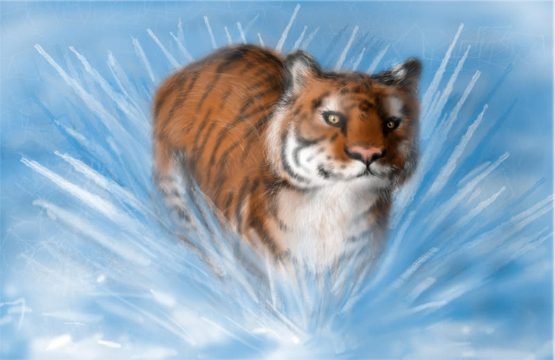 Iced Tiger by MissVycyos on DeviantArt