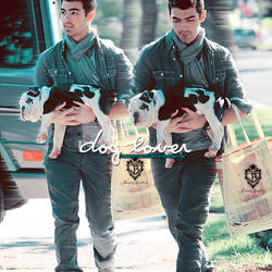 Joe dog lover'